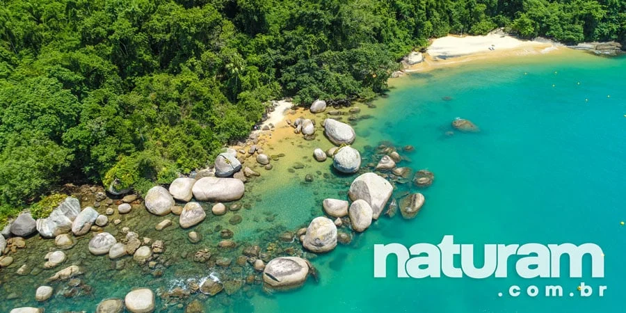 Praia-do-Engenho-Ilha-Anchieta-Ubatuba-Naturam-2