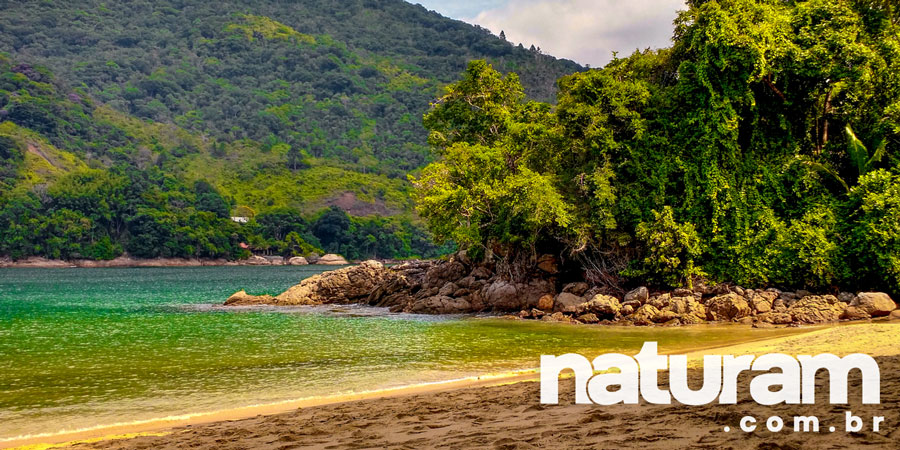 Praia de Santa Rita Ubatuba - Naturam