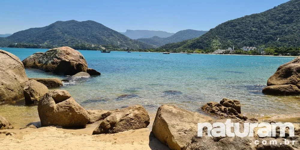 prainha-da-enseada-ubatuba-naturam-7